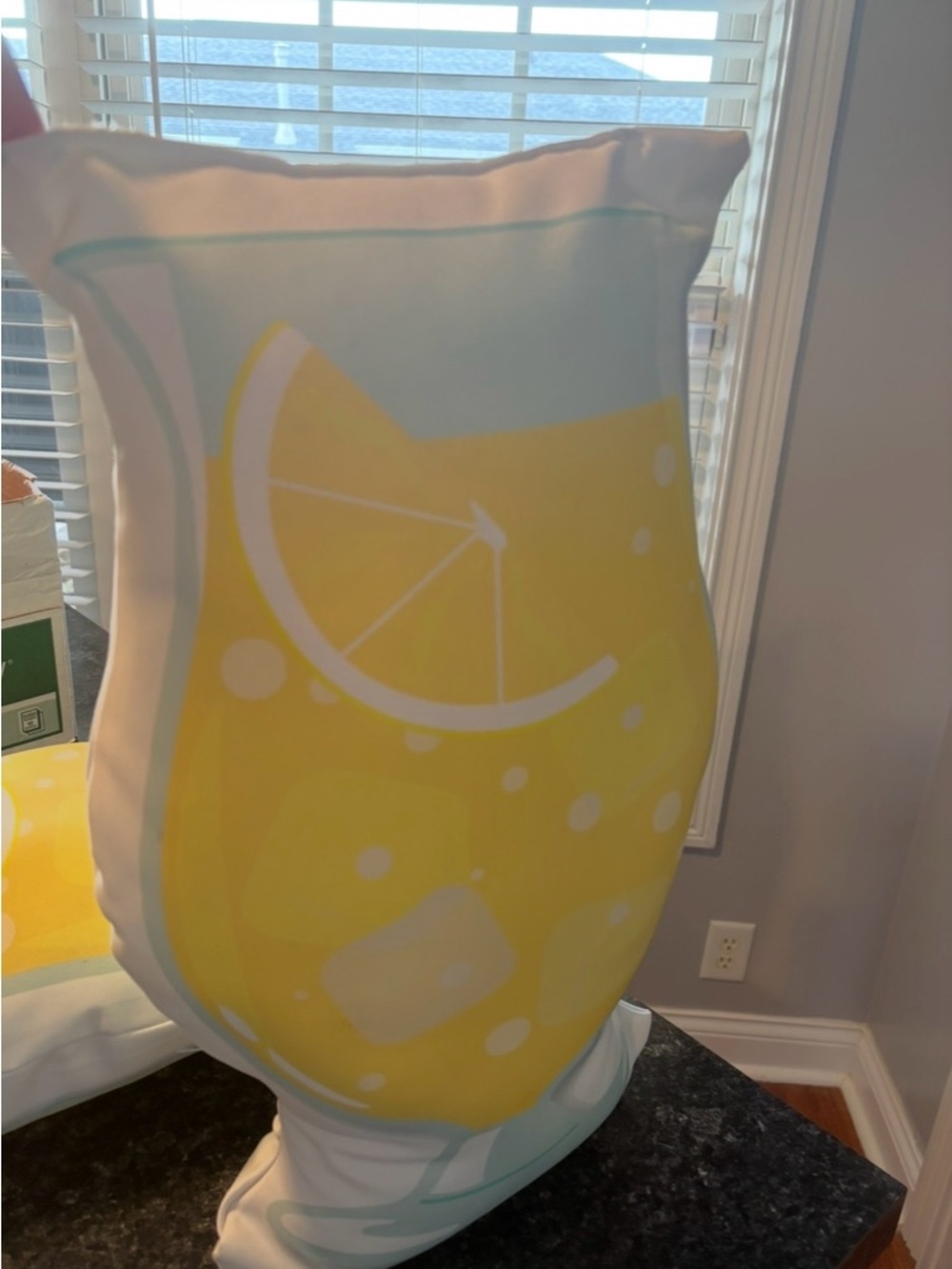 Lemonade Drink Shaped Decorative Pillow